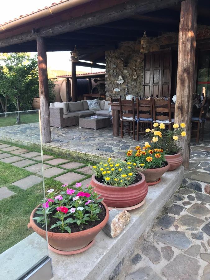 Casa Avocado Tavronitis Exterior foto